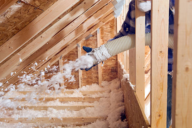 Eco-Friendly or Green Insulation Solutions in Blair, WI